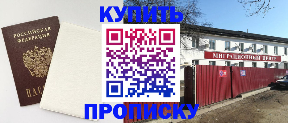 где прописаться в Алексине